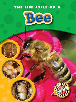 cover image of The Life Cycle of a Bee